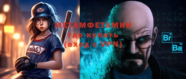 индика Нязепетровск