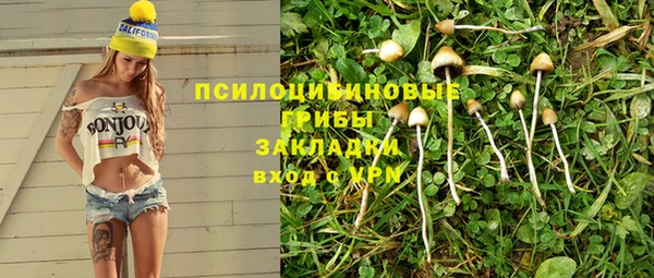 гашик Аркадак