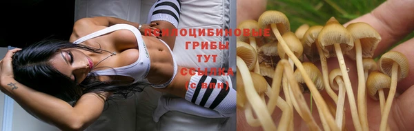 бутират Алексеевка