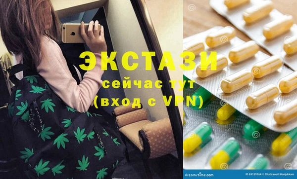 гашик Аркадак