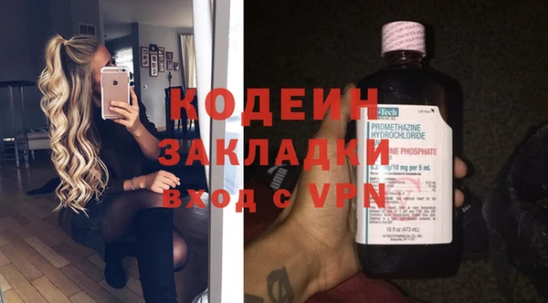 индика Нязепетровск