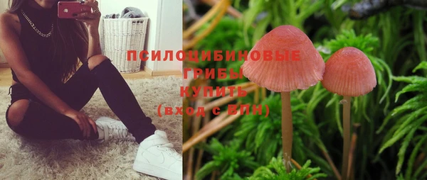 дурь Армянск