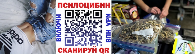 Псилоцибиновые грибы мухоморы  дарнет шоп  Мурманск 